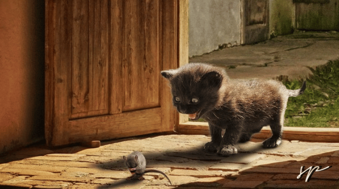 Istintivo e Pensatore: coinquilini particolari!