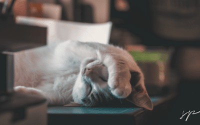 Fatica da compassione: 8 tips per i caregiver