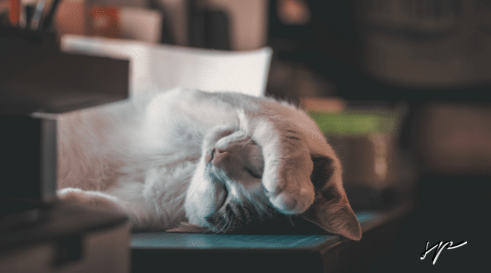 Fatica da compassione: 8 tips per i caregiver